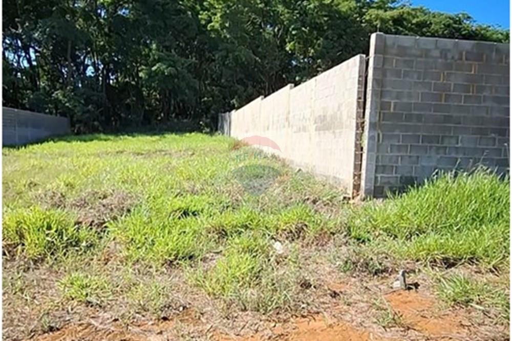 Terreno - Alugar - Mogi Mirim , São Paulo - IMG-20241209-WA0048.jpg - 690751048-95