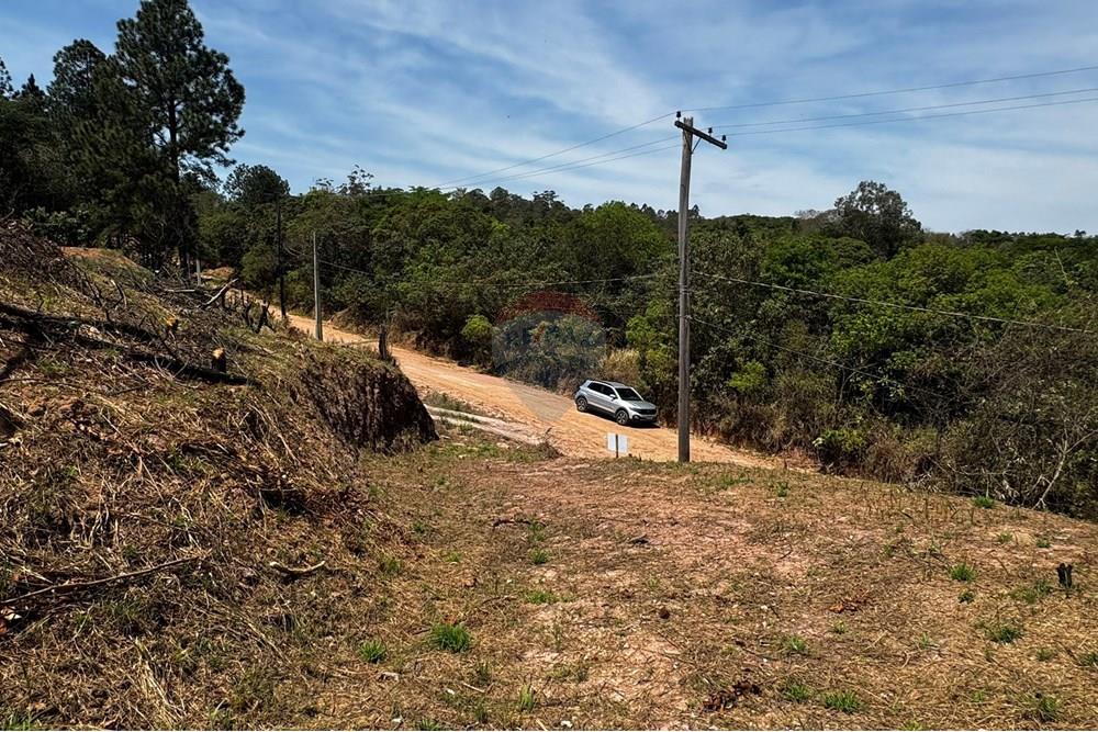 Terreno - Venda - Jarinu , São Paulo - IMG_3341.JPEG - 691121003-32