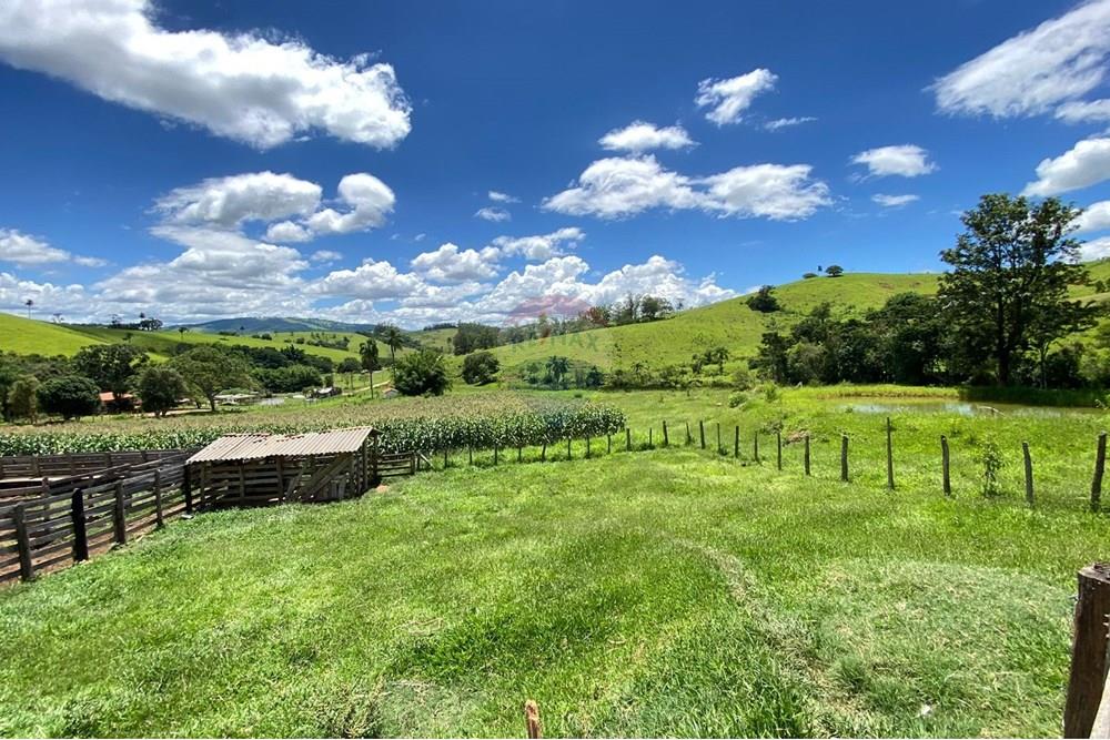 Chácara / Sítio / Fazenda - Venda - Lindóia , São Paulo - Imagem do WhatsApp de 2025-02-25 à(s) 19.33.43_9b07efdb.jpg - 690291077-223