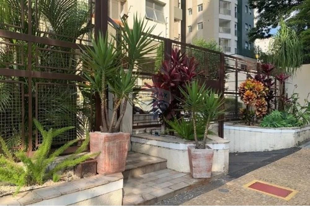 Apartamento - Alugar - Campinas , São Paulo - Captura de tela 2025-09-24 151530.jpg - 690681149-44