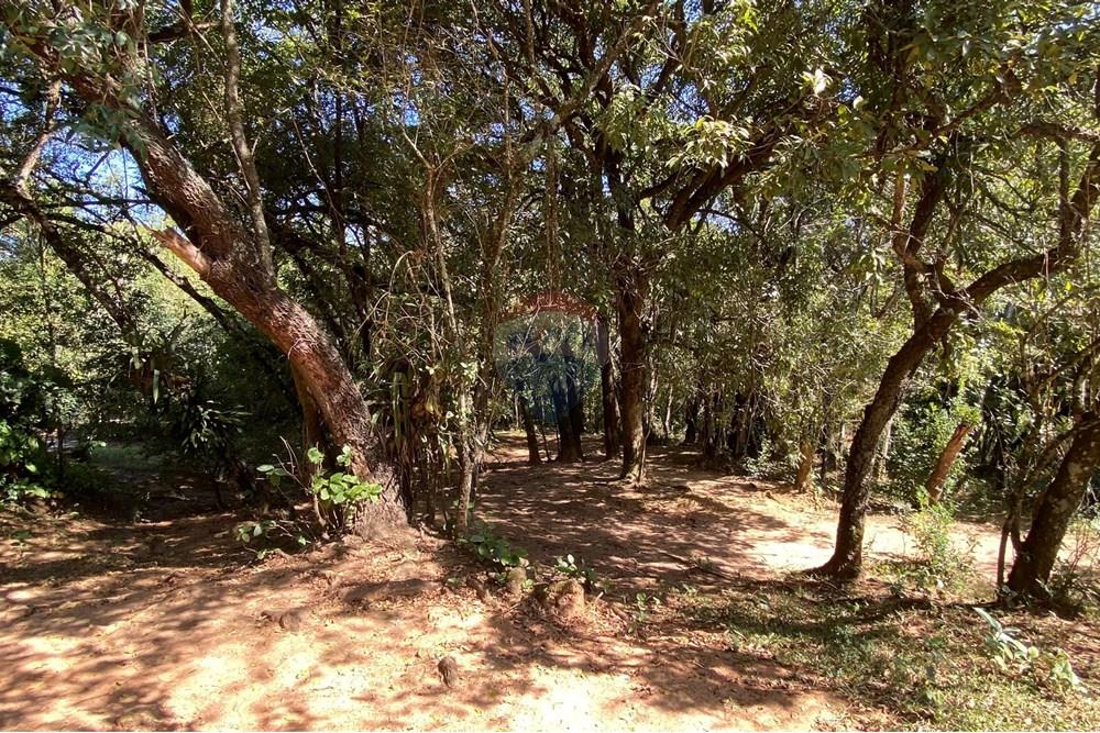 Chácara / Sítio / Fazenda - Venda - Jarinu , São Paulo - z5.JPEG - 691121002-11