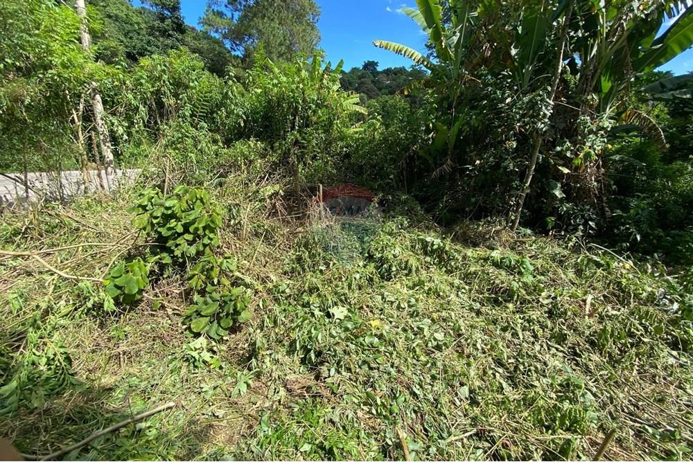 Terreno - Venda - Mairiporã , São Paulo - 95e64b78-49ef-4710-a156-036e1926322e.jpeg - 690041107-11