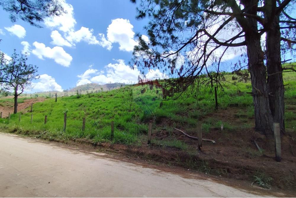 Terreno - Venda - Serra Negra , São Paulo - IMG_20241030_111009.jpg - 690291077-60