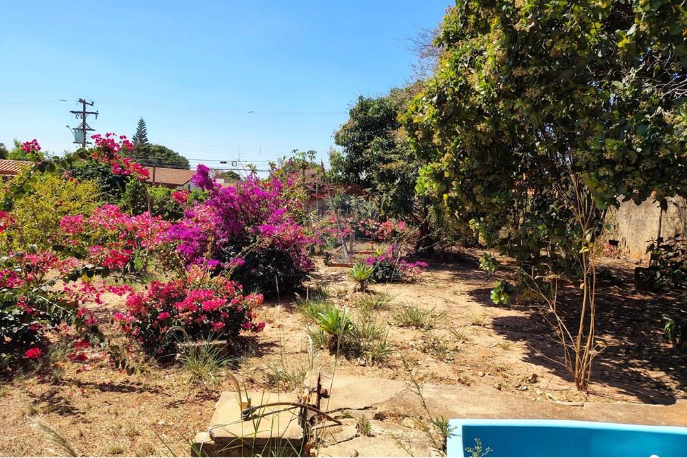 Chácara / Sítio / Fazenda - Venda - Cosmópolis , São Paulo - IMG_20250917_130444435_HDR-EDIT.jpg - 690511140-63