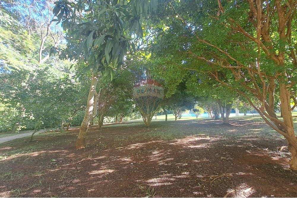 Terreno - Venda - Campinas , São Paulo - Pomar.jpg - 690681070-43