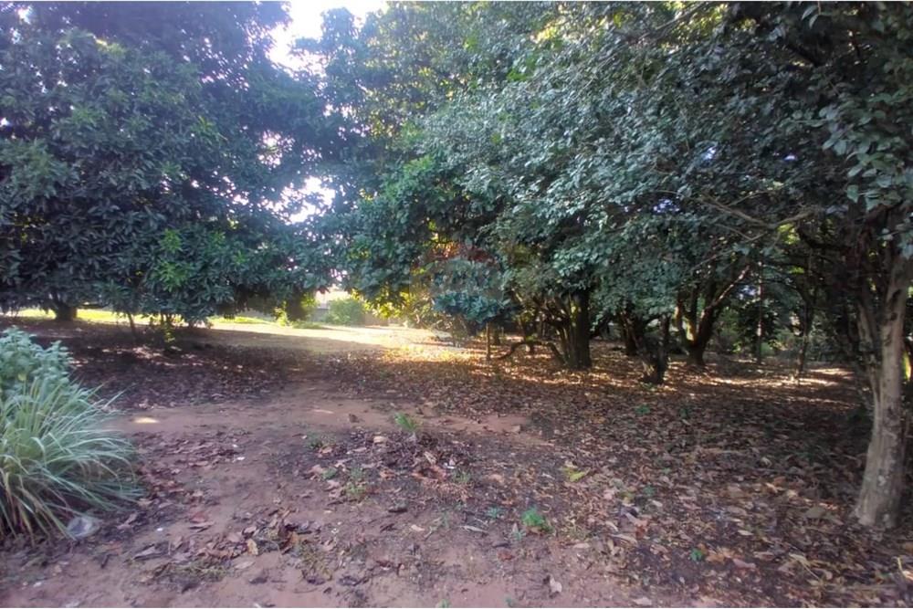 Chácara / Sítio / Fazenda - Venda - Mogi Mirim , São Paulo - Foto sr Mario 6.jpeg - Pátio interno - 690751061-27