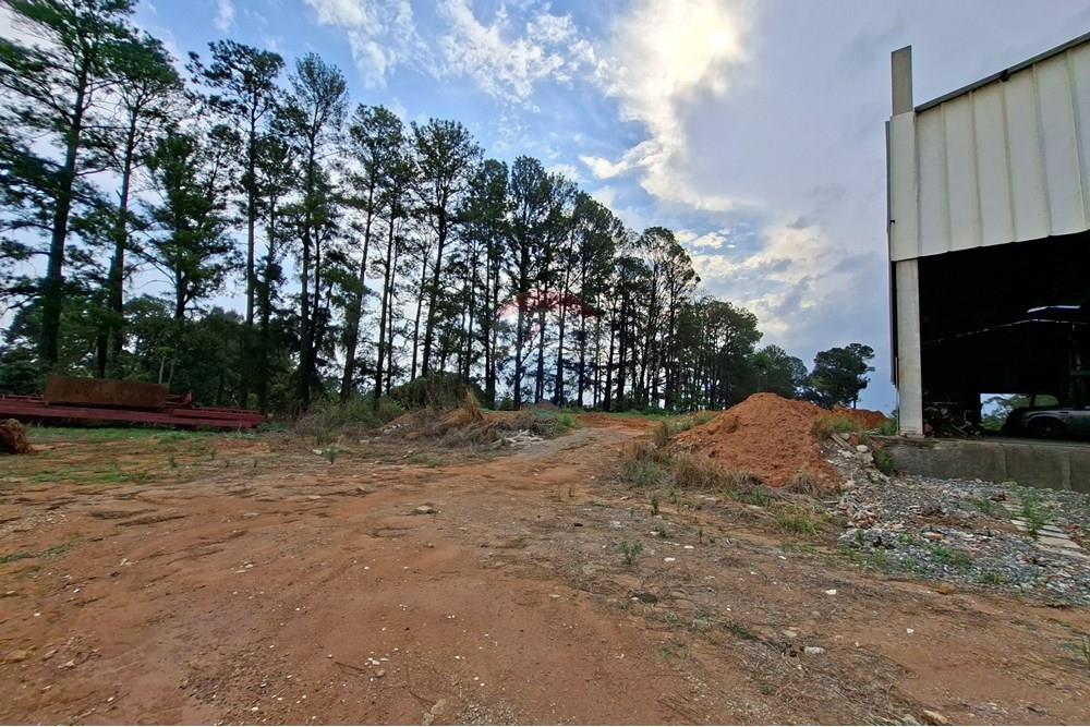 Galpão - Alugar - Mogi Mirim , São Paulo - 20251028_151410.jpg - 690751049-274