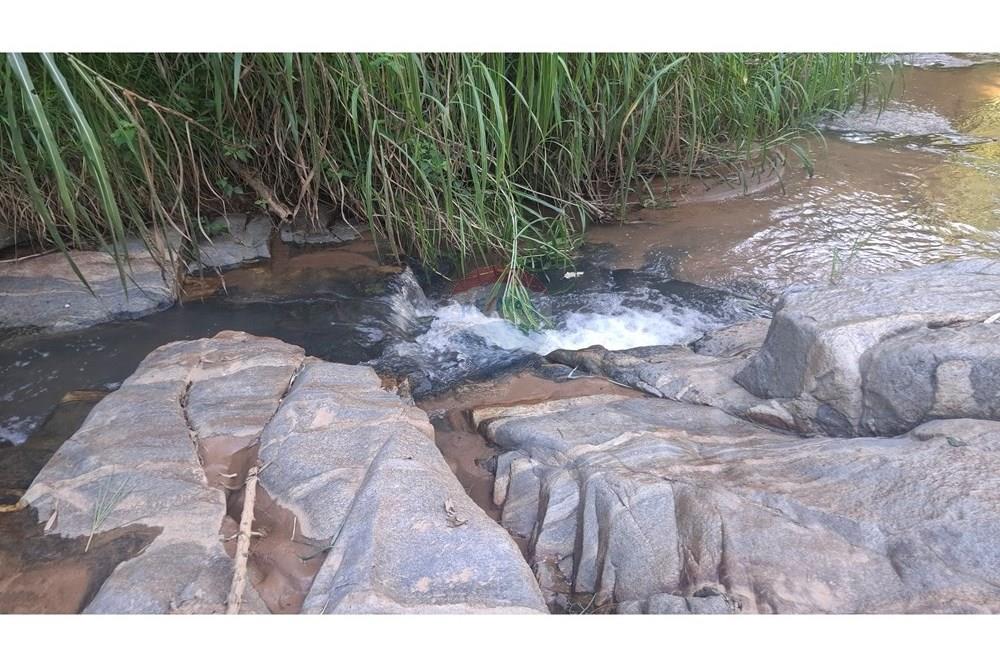 Fazenda - Venda - Serra Negra , São Paulo - 20250320_150046.jpg - 690291056-28