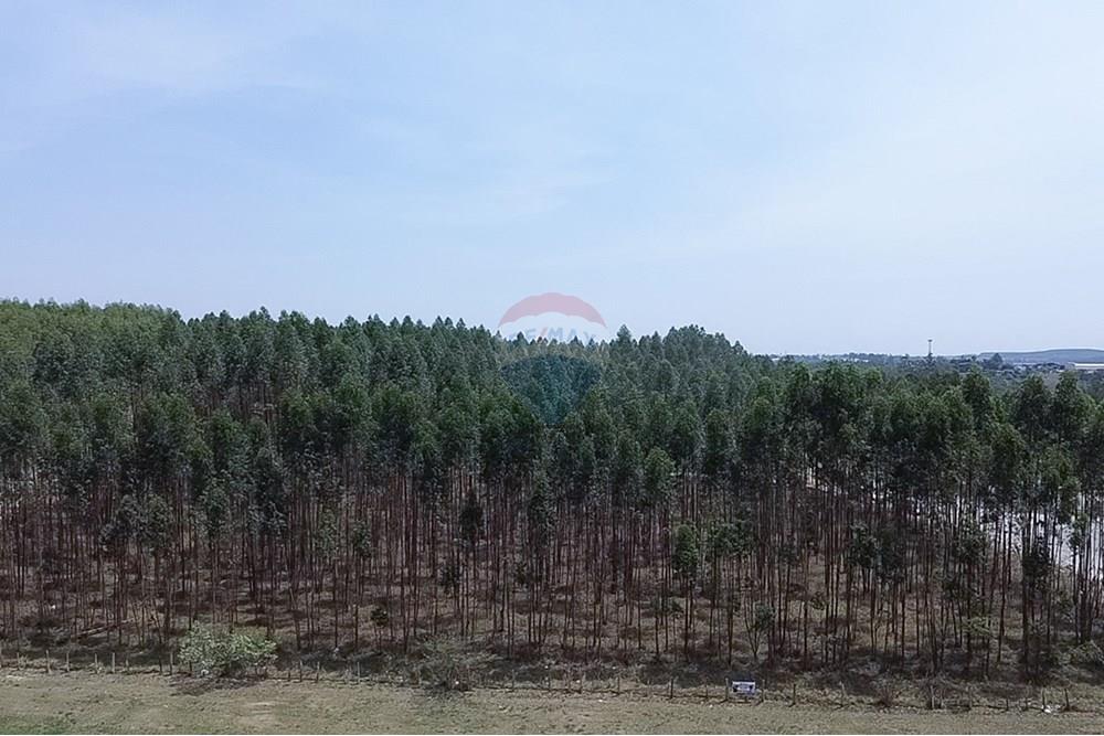 Terreno - Venda - Capivari , São Paulo - 2025-10-16-11-17-31-535.jpg - 690091034-64