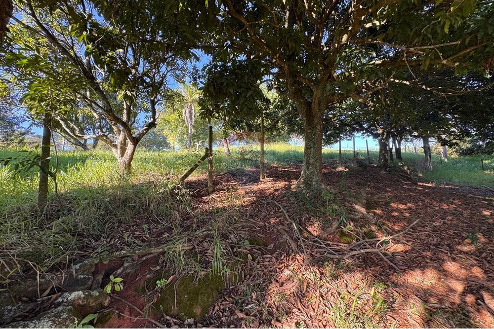 Terreno - Venda - Bragança Paulista , São Paulo - H - Foto Terreno Portal Barragem Jacareí 25.jpg - 690041052-92