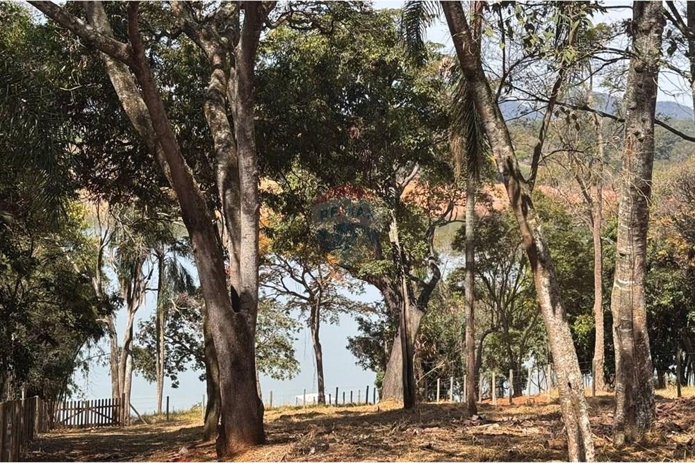 Chácara / Sítio / Fazenda - Venda - Joanópolis , São Paulo - photo_5104944673322634057_y.jpg - 690041018-313