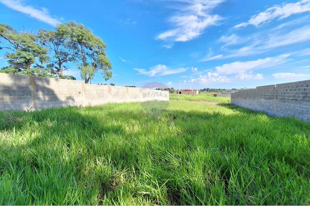 Terreno - Alugar - Mogi Mirim , São Paulo - IMG-20241208-WA0060.jpg - 690751048-95