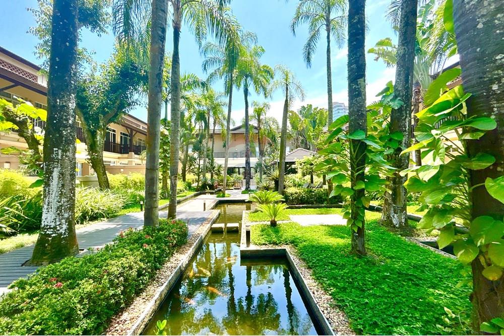 Apartamento - Venda - Guarujá , São Paulo - DJI_20241111_113502_083.jpeg - 690981024-337