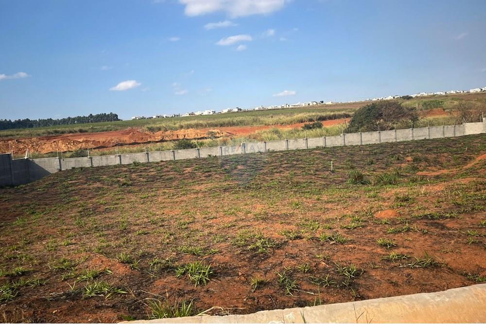 Terreno - Venda - Paulínia , São Paulo - Imagem do WhatsApp de 2025-07-14 à(s) 15.46.32_d808b061.jpg - 690511143-87