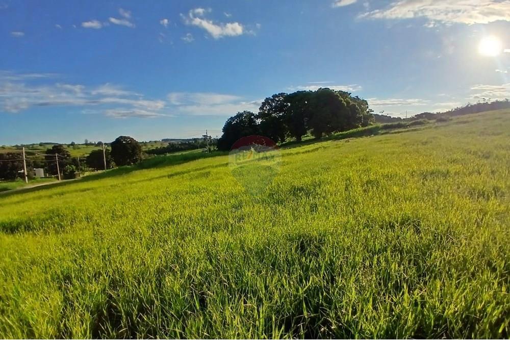 Chácara / Sítio / Fazenda - Venda - Itapira , São Paulo - WhatsApp Image 2025-04-08 at 15.04.59 (2).jpeg - 690291039-39