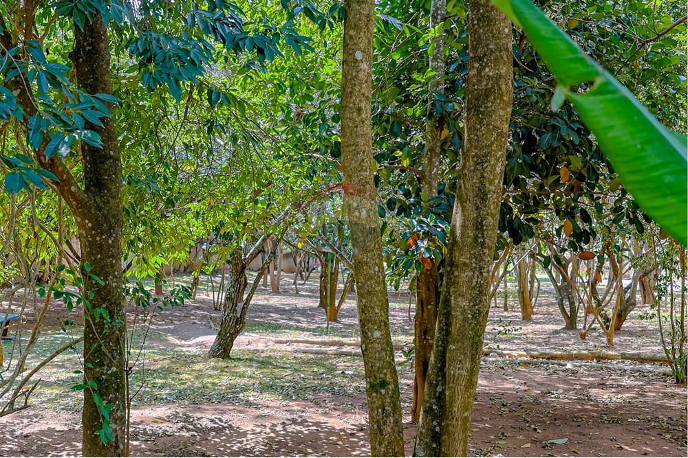 Casa de Condomínio - Venda - Atibaia , São Paulo - RINFY-84 (2).jpg - 690921050-39