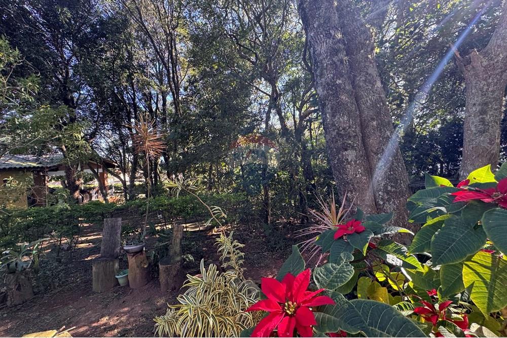 Casa - Venda - Extrema , Minas Gerais - IMG_7662.jpg - Jardim Externo - 690041052-101