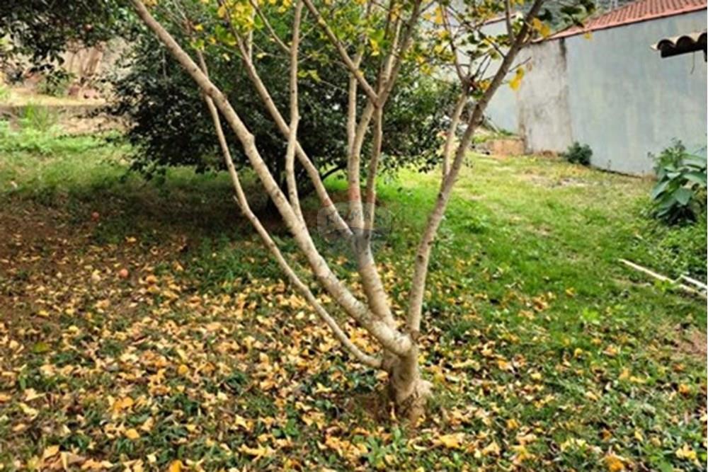 Terreno - Venda - Extrema , Minas Gerais - Imagem do WhatsApp de 2025-09-01 à(s) 22.02.01_a0125abd.jpg - 690041169-15