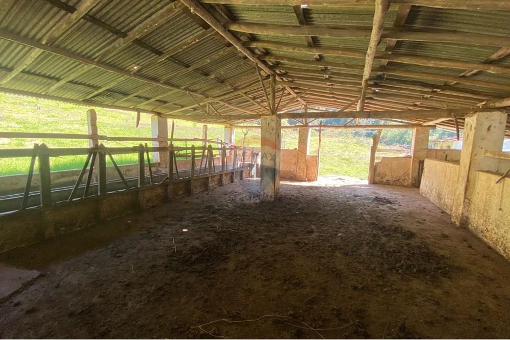 Chácara / Sítio / Fazenda - Venda - Joanópolis , São Paulo - 5c633f7f-6ac6-45c2-94d4-ce7739efa883.jpeg - 690041107-19