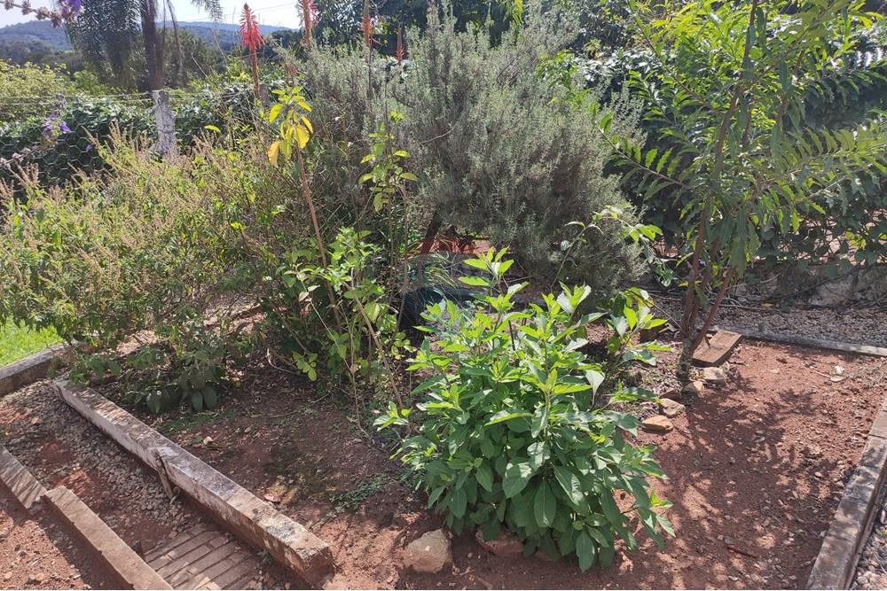 Casa - Alugar - Atibaia , São Paulo - IMG-20250527-WA0130.jpg - 690471100-157