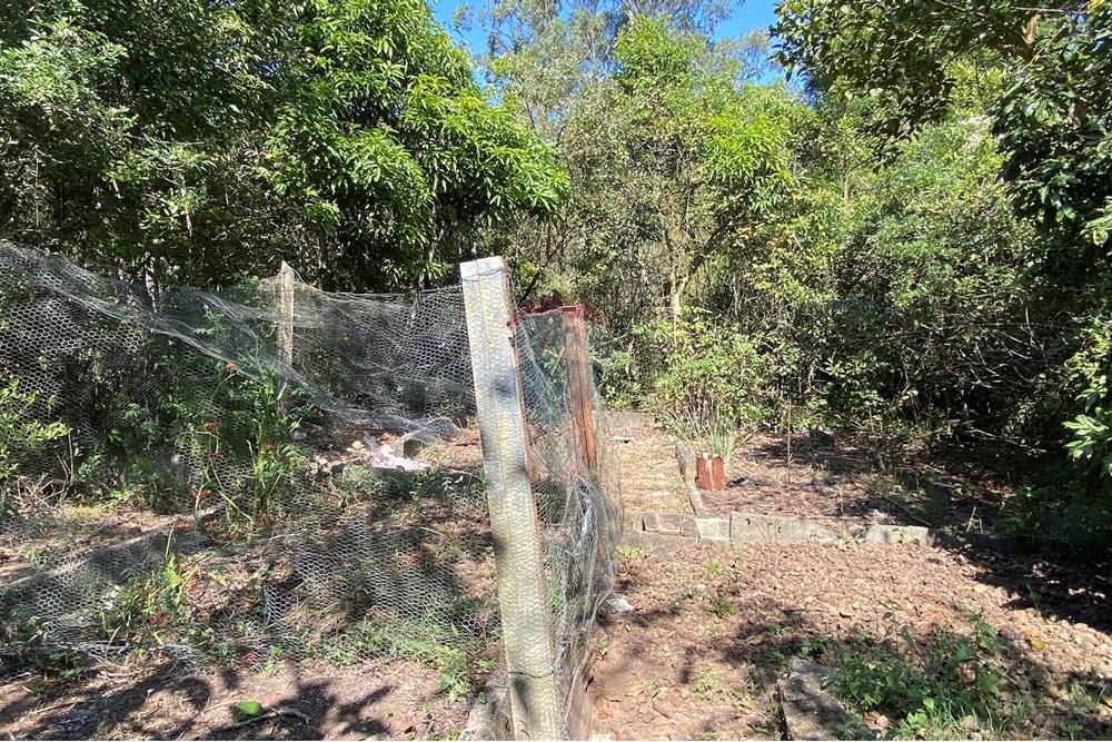 Chácara / Sítio / Fazenda - Venda - Jarinu , São Paulo - z11.JPEG - 691121002-11