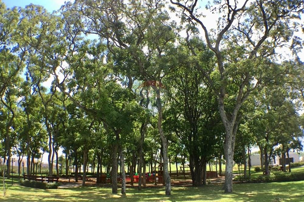 Terreno - Venda - Socorro , São Paulo - IMG_6797.jpg - 690041151-18