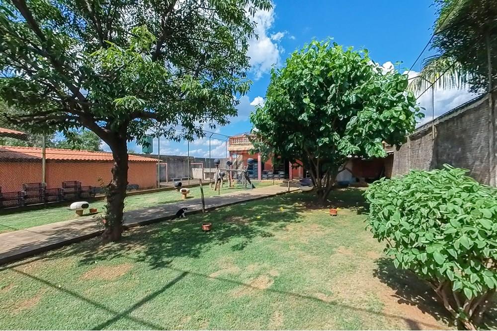 Chácara / Sítio / Fazenda - Venda - Araras , São Paulo - Tratada-55.jpg - 690691027-157