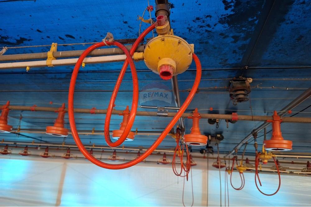 Chácara / Sítio / Fazenda - Venda - Itapira , São Paulo - 20250626_094157.jpg - 690751048-290