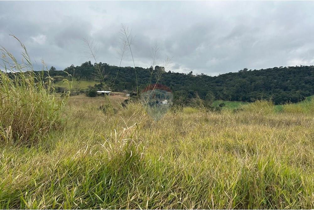 Terreno - Venda - Jarinu , São Paulo - WhatsApp Image 2025-07-04 at 18.07.14 (16).jpeg - 690661027-116