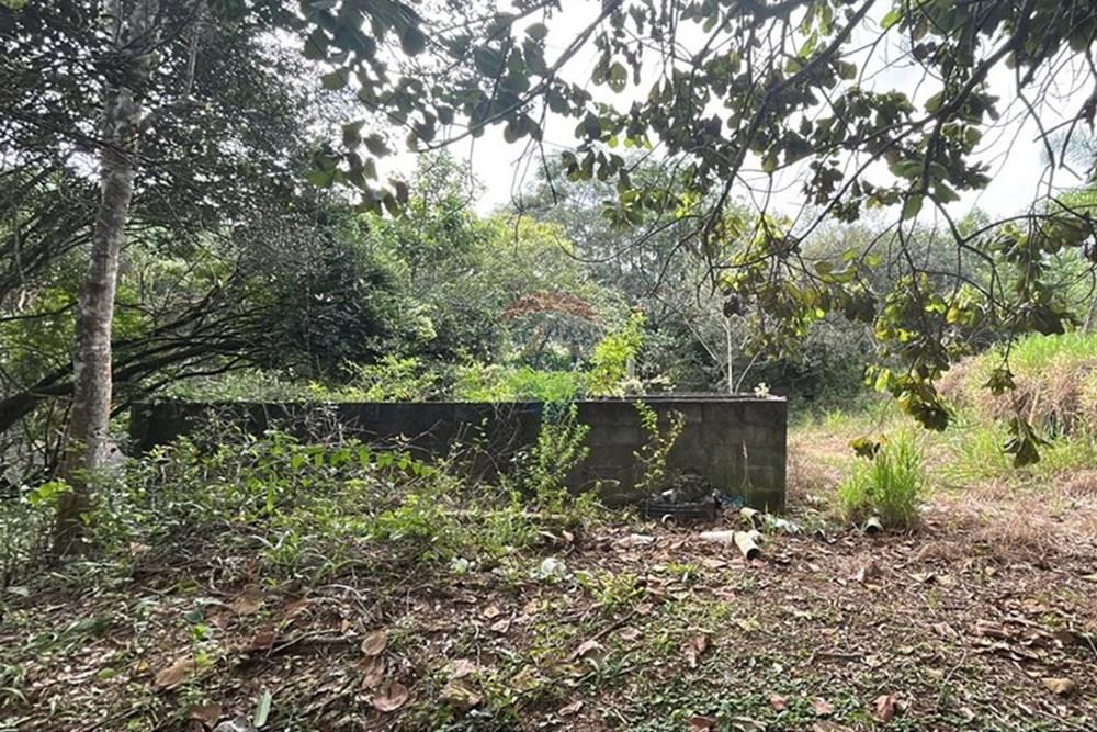 Chácara / Sítio / Fazenda - Venda - Amparo , São Paulo - WhatsApp Image 2025-06-24 at 11.21.31 (5).jpeg - 690661027-111