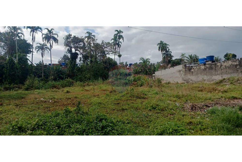 Terreno - Venda - Bertioga , São Paulo - terreno reginaldo4.jpg - 690341034-10