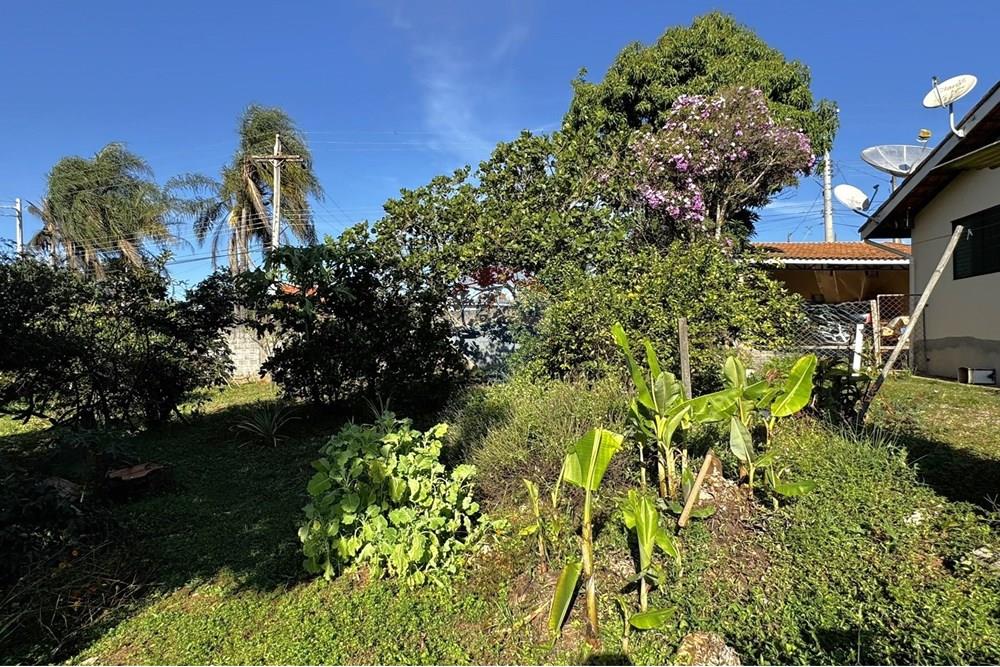 Chácara / Sítio / Fazenda - Venda - Jarinu , São Paulo - y.JPEG - 691121003-27