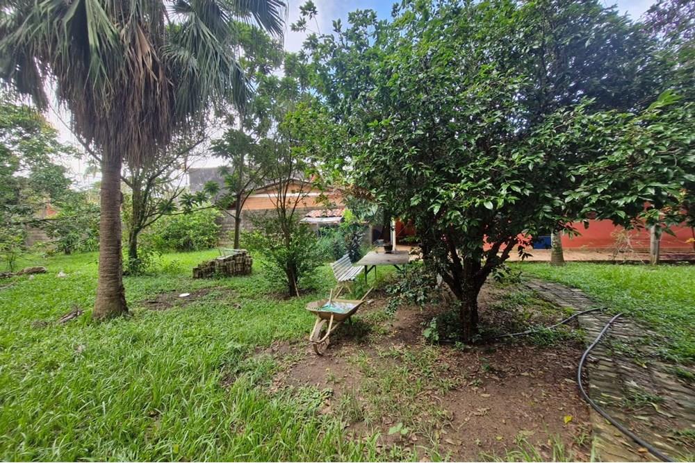 Chácara / Sítio / Fazenda - Venda - Jaguariúna , São Paulo - IMG-20250210-WA0104.jpg - Jardim Externo - 690671050-27