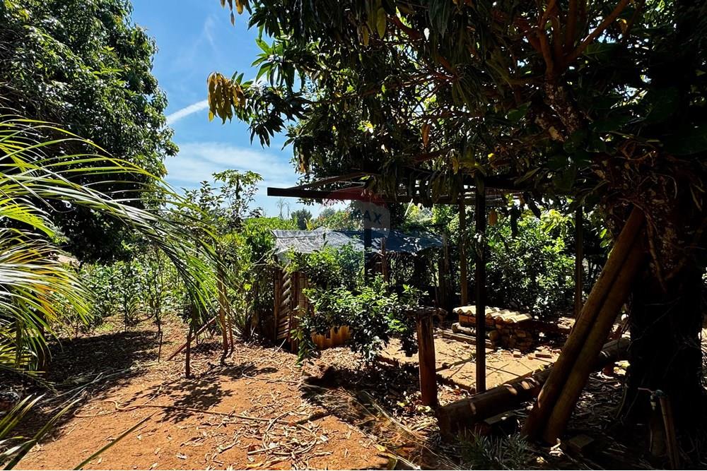 Chácara / Sítio / Fazenda - Venda - Jarinu , São Paulo - z7.jpg - 691121003-14