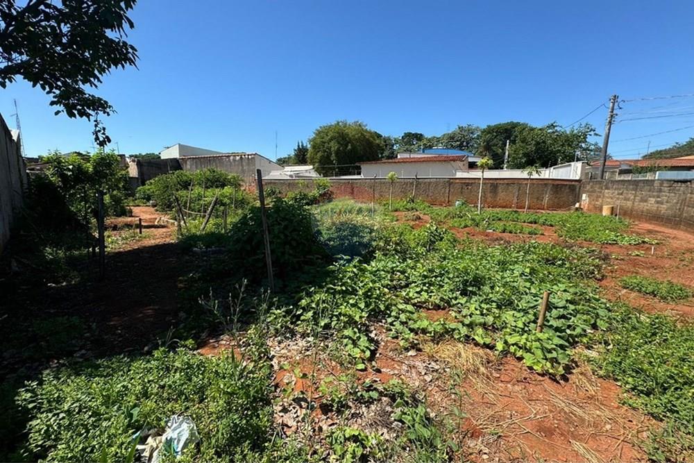 Terreno - Venda - Campinas , São Paulo - WhatsApp Image 2024-11-19 at 15.53.28.jpeg - 690331010-32