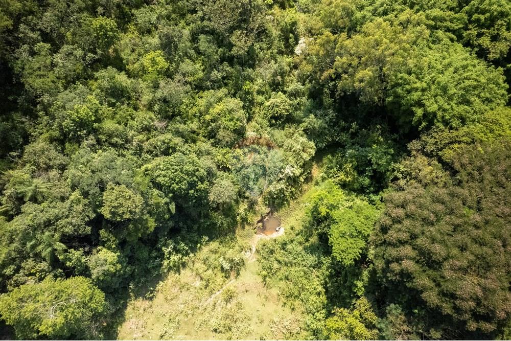 Chácara / Sítio / Fazenda - Venda - Corumbataí , São Paulo - DJI_0438.JPG - 690811054-23