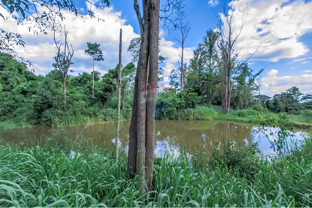 Chácara / Sítio / Fazenda - Venda - Araras , São Paulo - Tratada-58.jpg - 690691016-236