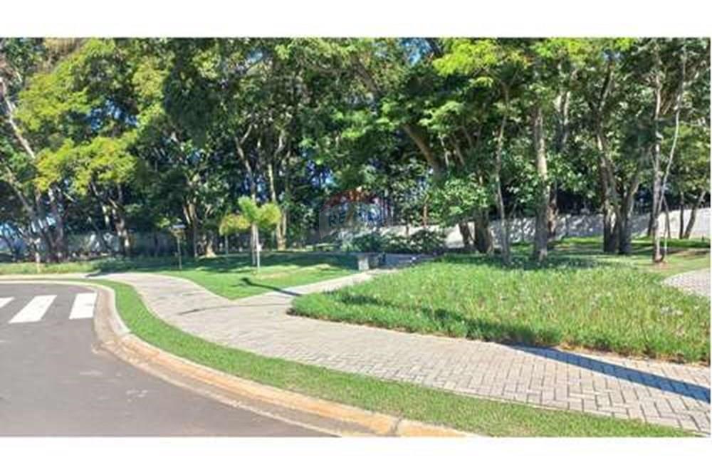 Terreno - Venda - Mogi Mirim , São Paulo - Foto Terreno Roberto 12.jpg - 690751061-56