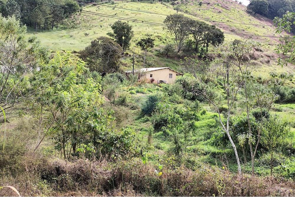 Chácara / Sítio / Fazenda - Venda - Águas de Lindóia , São Paulo - 1750451209653.jpg - 690521007-293