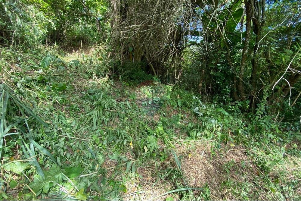 Terreno - Venda - Mairiporã , São Paulo - 46b76ba5-442d-45b7-bf0c-aa8efd93f0ef.jpeg - 690041107-11