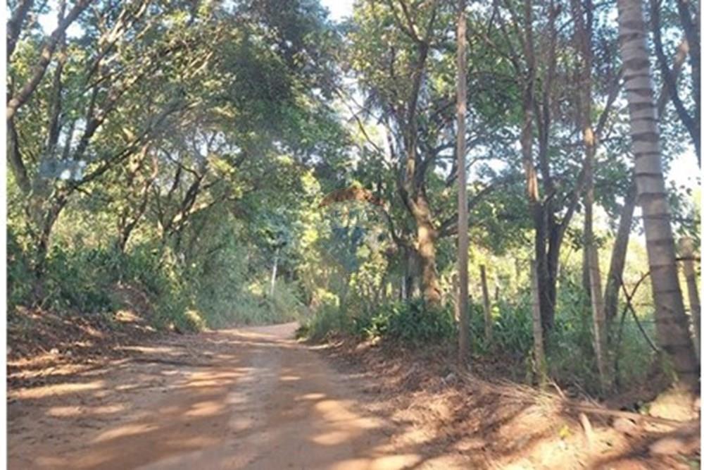 Chácara / Sítio / Fazenda - Venda - Itapira , São Paulo - 20250626_091758.jpg - 690751048-290