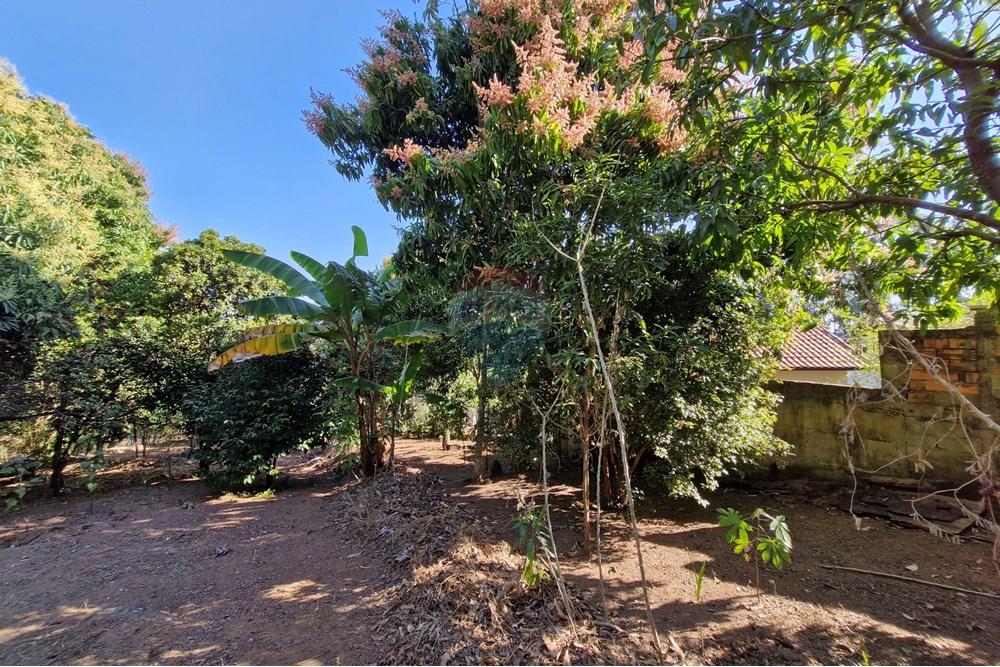 Rezidencijalno - Zemljište - Jaguariúna , Sao Paulo - BR - 20250814_151820.jpg - 690671008-326