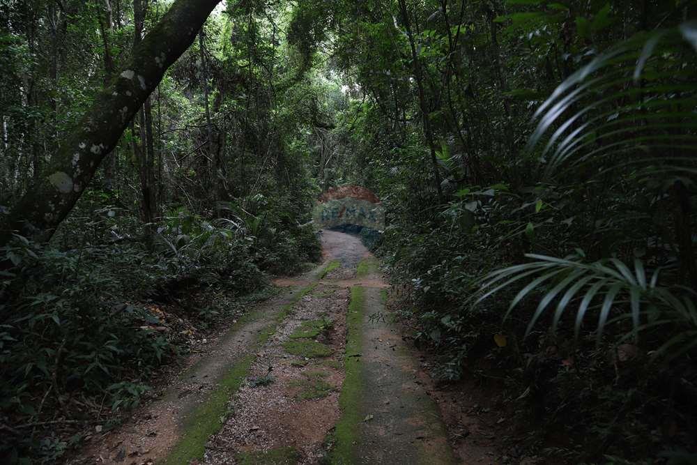 Chácara / Sítio / Fazenda - Venda - Jarinu , São Paulo - IMG_6617.JPG - 690661027-129