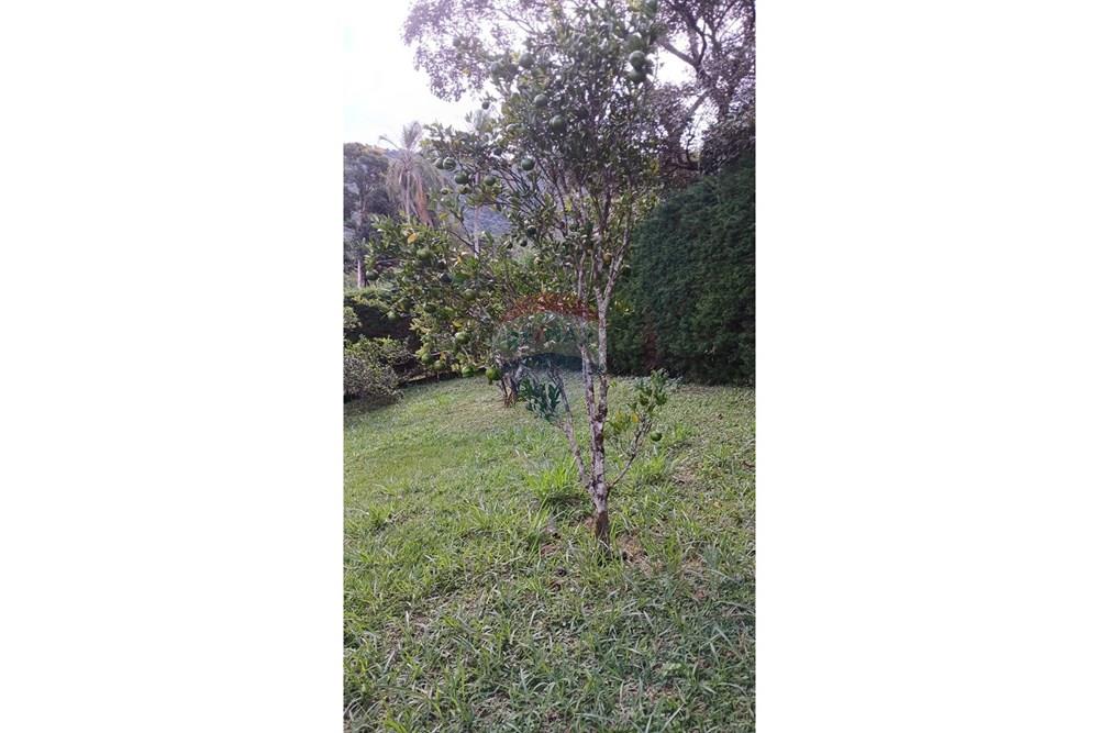 Chácara / Sítio / Fazenda - Venda - Extrema , Minas Gerais - FRUTAS (4).jpg - 690141085-25