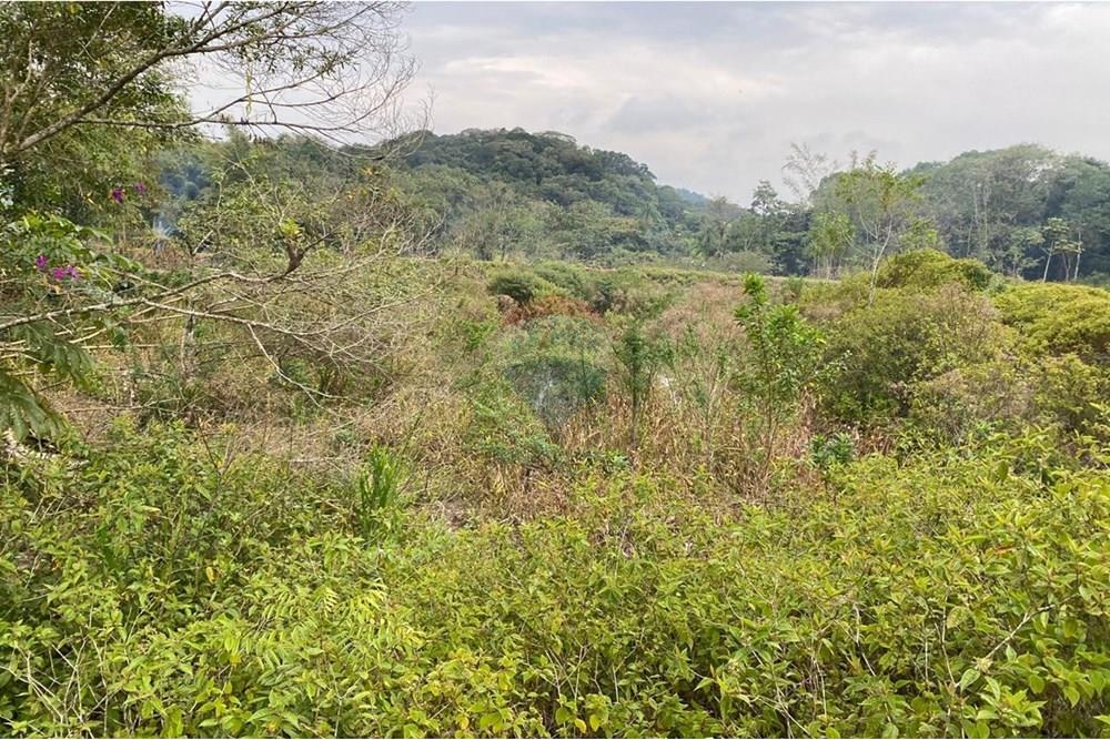 Fazenda - Venda - Sete Barras , São Paulo - WhatsApp Image 2025-08-26 at 13.13.15 (5).jpeg - 690061038-12