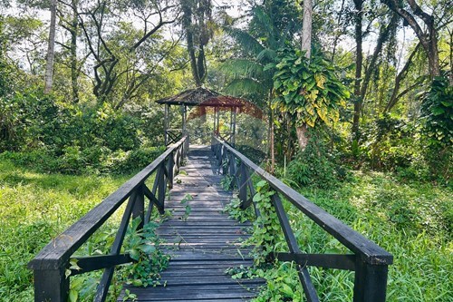 Slider Image Thumbnail