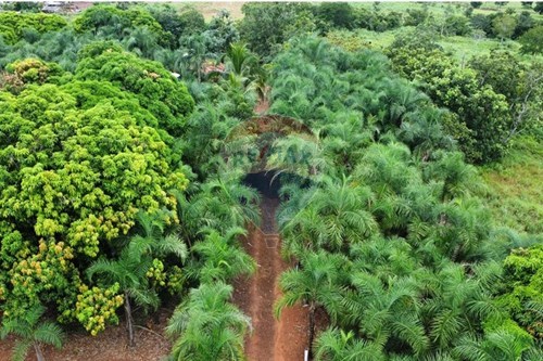 Venda-Chácara / Sítio / Fazenda-Centro , Pontal do Araguaia , Mato Grosso , 78698000-722211001-52