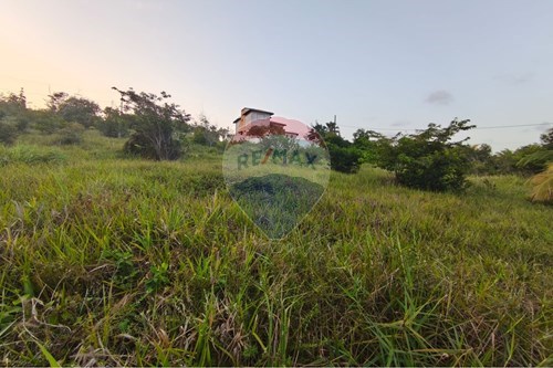 Venda-Terreno-Praia Bela , Pitimbu , Paraíba , 58324000-720871056-19