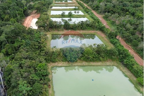 Venda-Chácara / Sítio / Fazenda-Centro , Novo Airão , Amazonas , 69730000-720721055-29
