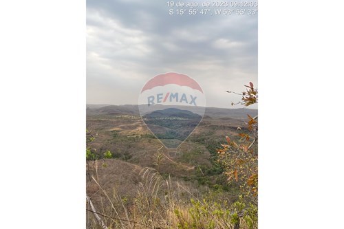 Venda-Chácara / Sítio / Fazenda-Poxoréu , Mato Grosso , 78800-000-720611061-6